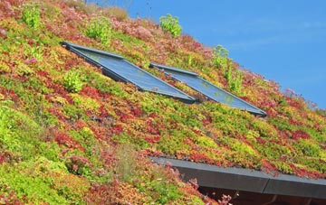 Withnell living roof systems