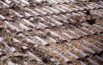 Withnell roof cleaning companies