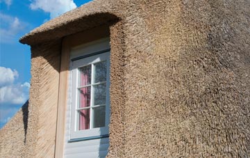Withnell thatch roof disadvantages