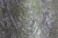 Withnell fibreglass roof work